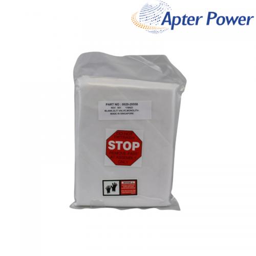 0020-20558    Blank Slotted Valve