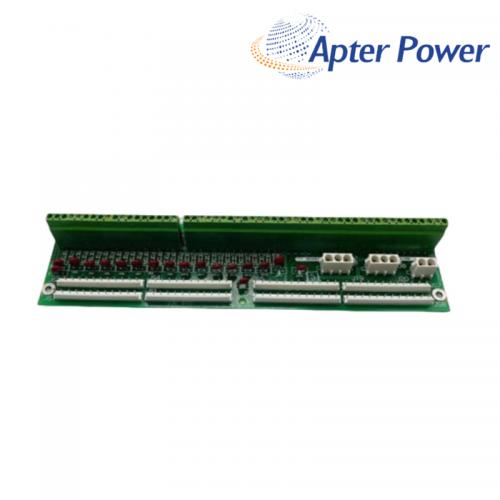 DS200PLIBG2ACA I/O Module
